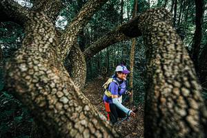 BIB: 
                            <button type="button" onclick="openModal(25394102)" class="btn btn-primary btn-sm float-right btn-popup" data-toggle="modal" data-target=".modal-high-quality">
                        <i class="fas fa-shopping-cart"></i> Add to Cart
                    </button>
                                            <button type="button" onclick="isThisMe(25394102, true)" class="btn btn-success btn-sm float-right btn-popup btn-isme hidden" data-toggle="tooltip" data-placement="bottom" title="นี่คือรูปของคุณใช่ไหม คลิกที่นี่เพื่อเอาเข้าอัลบั้ม">
                        <i class="fas fa-plus"></i> Add to album
                    </button>
                    <button type="button" onclick="isThisMe(25394102, false)" class="btn btn-warning btn-sm float-right btn-popup btn-isnotme hidden">
                        <i class="fas fa-ban"></i> Remove from album
                    </button>